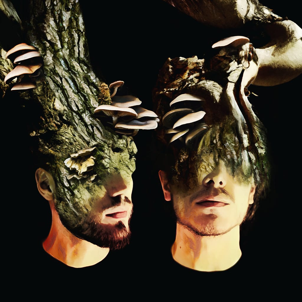 Made in collaboration with Future Sound Of Conco, the electronic collective led by the producers Bob Rage and Peanuke (Roberto and Paolo Bonato), "If A Tree Falls" closes the album with ethereal atmospheres, mysticism, and philosophy. The track opens with the notorious question posed by George Berkeley: "If a tree in a forest falls and no one is around to hear it, does it make a sound?": this question makes us wonder whether the world around us is a reality that exists independently of us or just a construct of our brain. A question that serves to meditate on things but also to develop the proper sensitivity not to fall into the verbal traps of rhetoric. Stylistically, it is a Downtempo track with an organic sound, playing with atmospheres, including evocative synths, psychedelic guitar samples, dub delays, and Trip-Hop-evoking beats. All are accompanied by the vocalizations performed by Tanya K. Sherman, in a progressive development that culminates with the entrance of a traditional Gaelic choir using aleatory techniques inspired by Celtic vocal traditions.