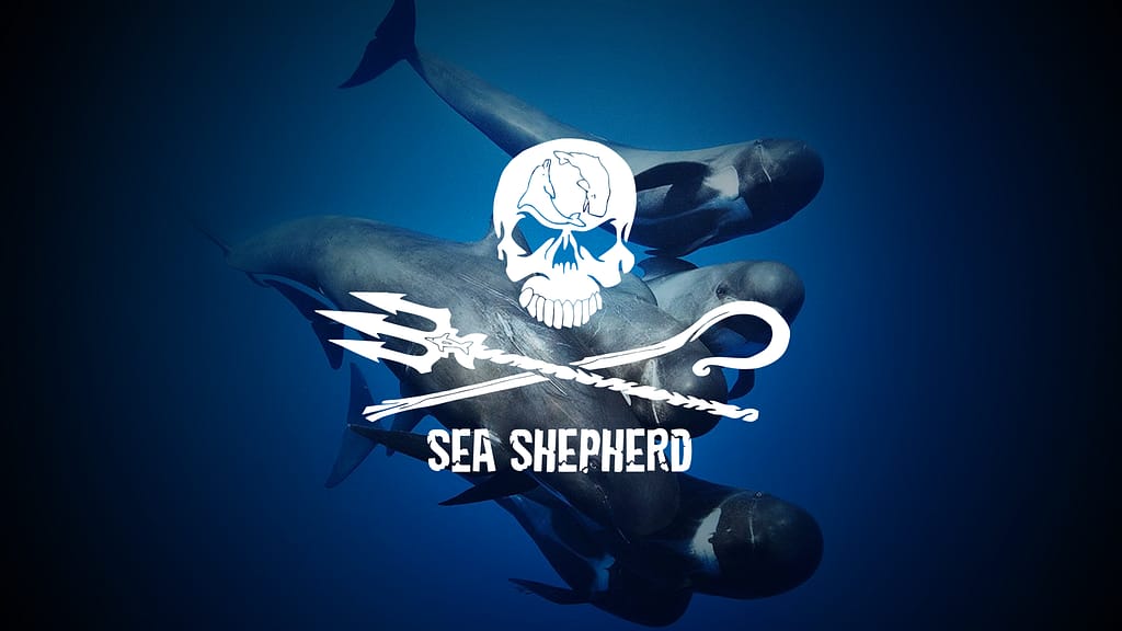 Sea Shepherd Italia