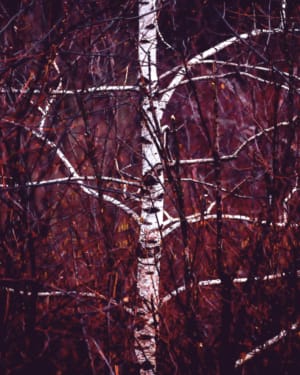 FSOC - Future Sound Of Conco - SINAPSI (Conco Turns Acid series 2020) (ph: Michela Menon)